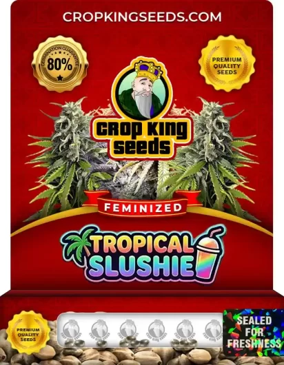 tropical-slushie-image