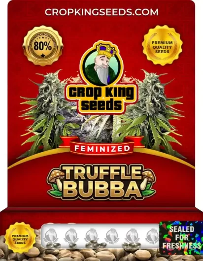 truffle-bubba-image