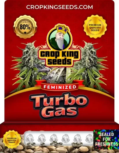 turbo-gas-image