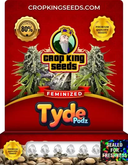 tyde-podz-image