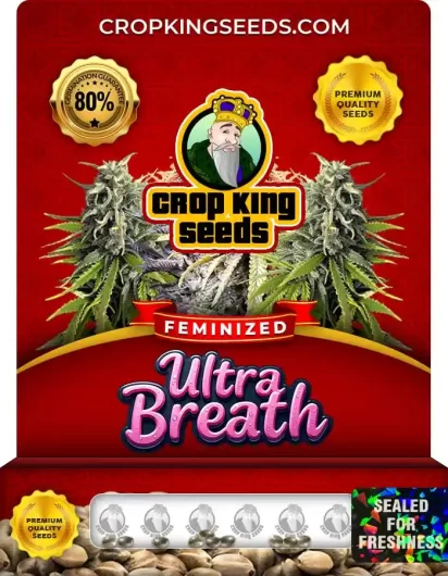 ultra-breath-image