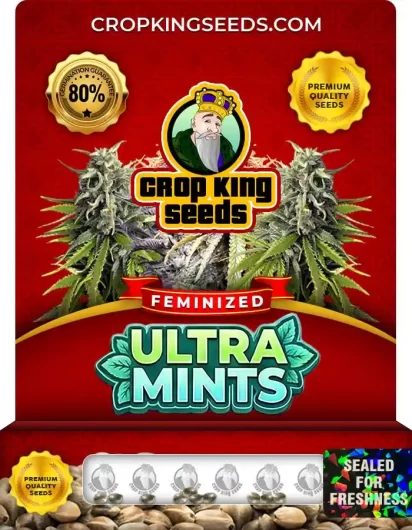 ultra-mints-image