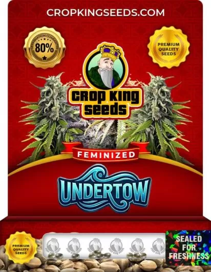 undertow-image