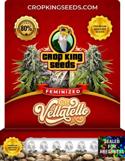 vellatello-image