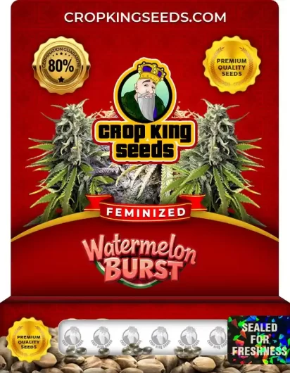 watermelon-burst-image