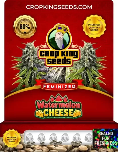watermelon-cheese-image