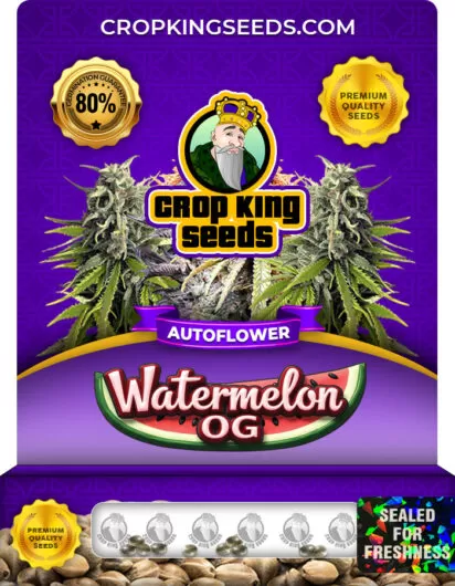 watermelon-og-autoflower-image