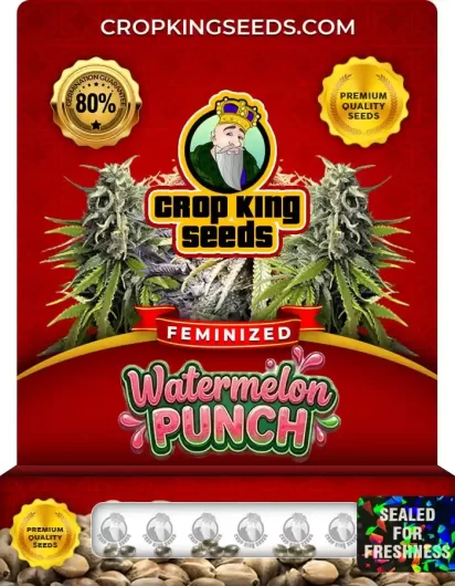 watermelon-punch-image