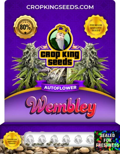 Wembley Autoflower
