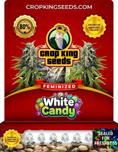 White Candy