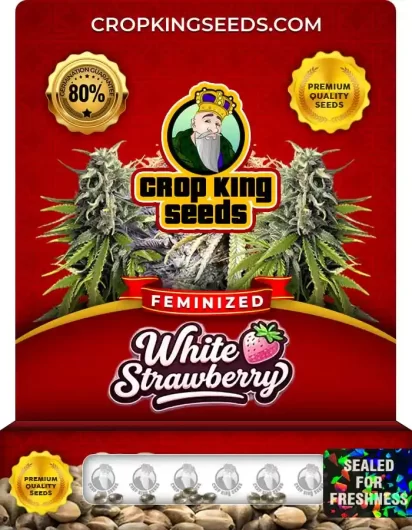 white-strawberry-image