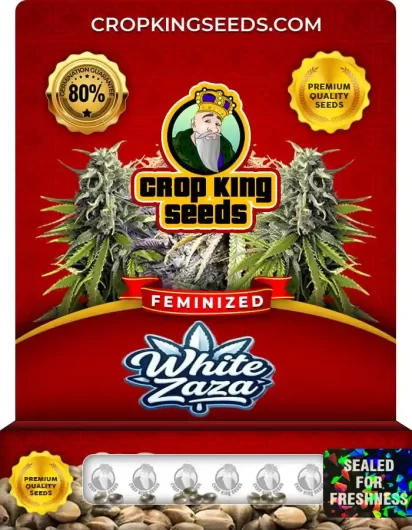 white-zaza-image