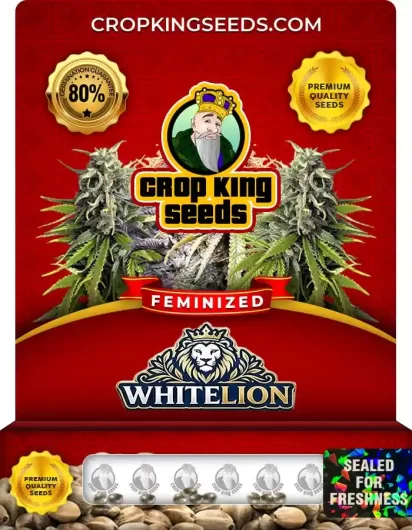 whitelion-image