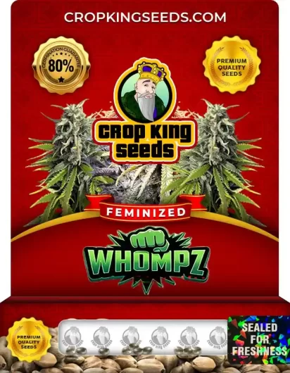 whompz-image