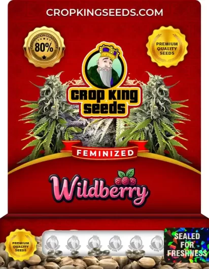 wild-berry-image