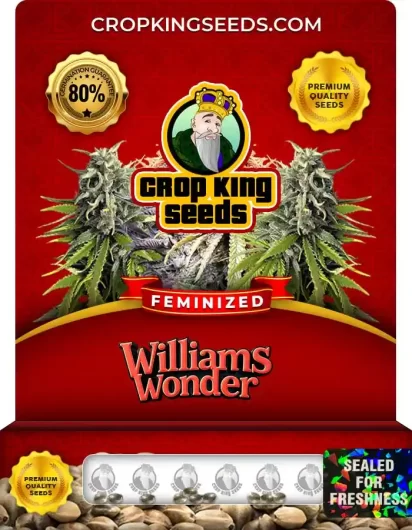 williams-wonder-image