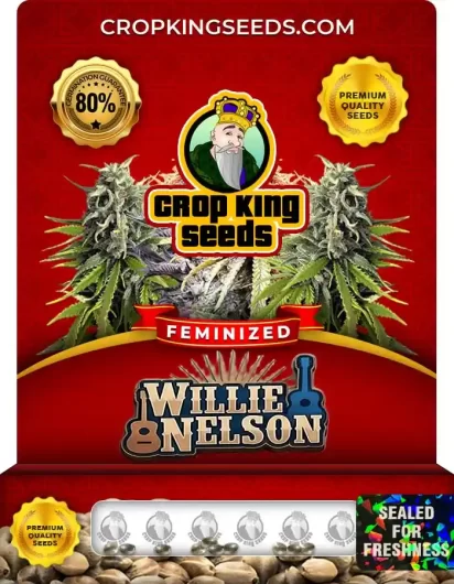 willie-nelson-image