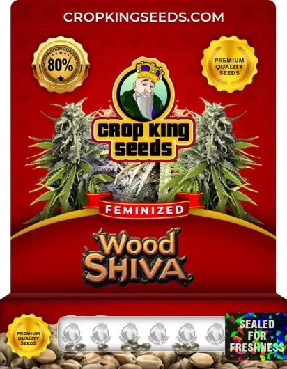 wood-shiva-image