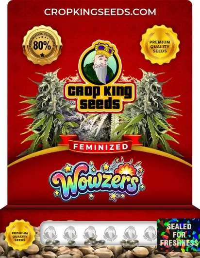 wowzers-image