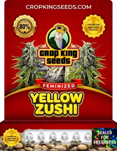 yellow-zushi-image