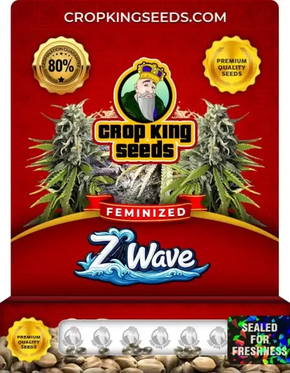 z-wave-image