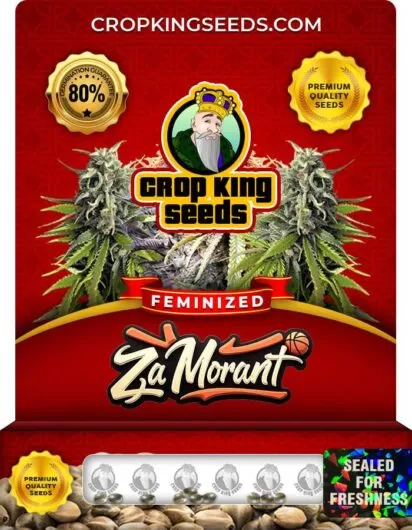 za-morant-image