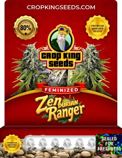 zen-durian-ranger-image