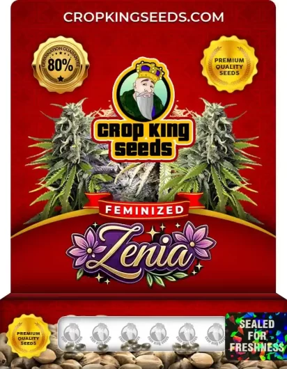 zenia-image