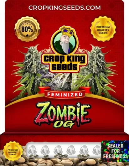 zombie-og-image