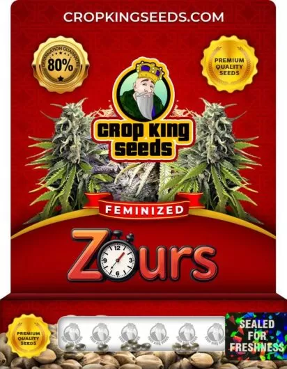 zours-image