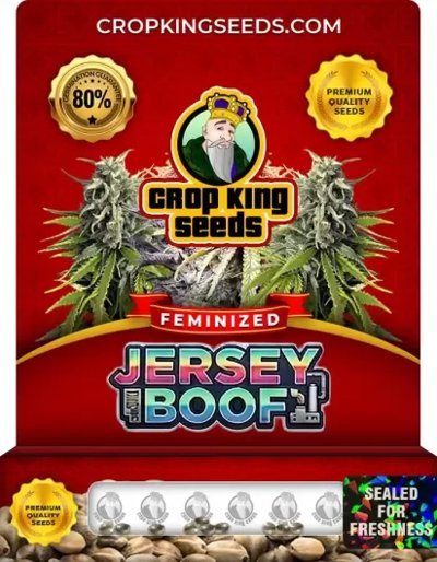 Jersey Boof