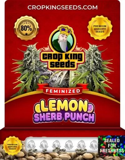 Lemon Sherb Punch