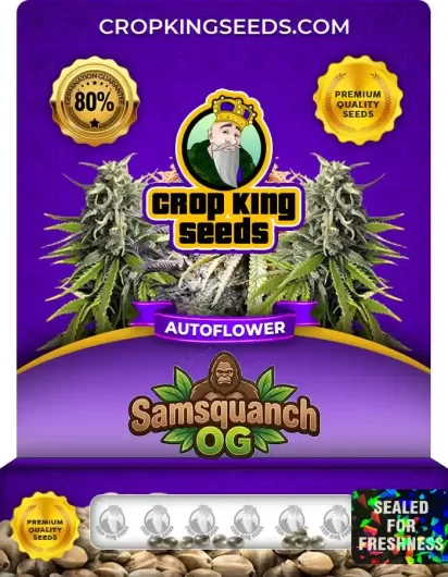samsquanch-og-autoflower-image