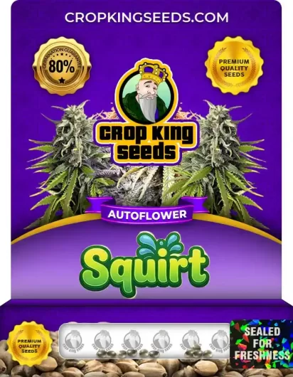 squirt-autoflower-image