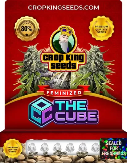 the-cube-image