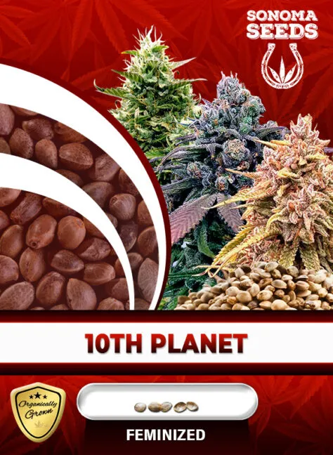 10th-planet-image