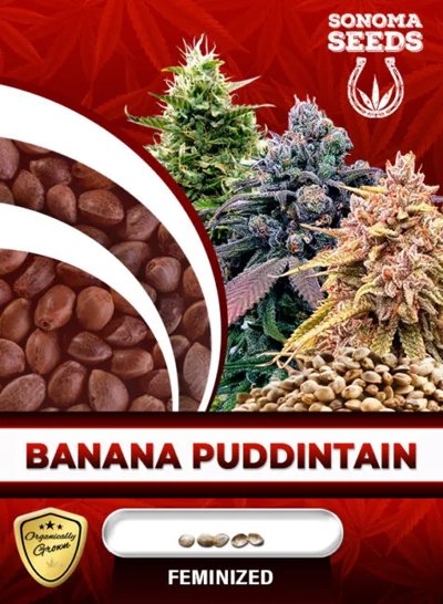 Banana Puddintain