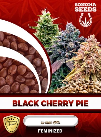 Black Cherry Pie