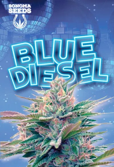 Blue Diesel Autoflowering