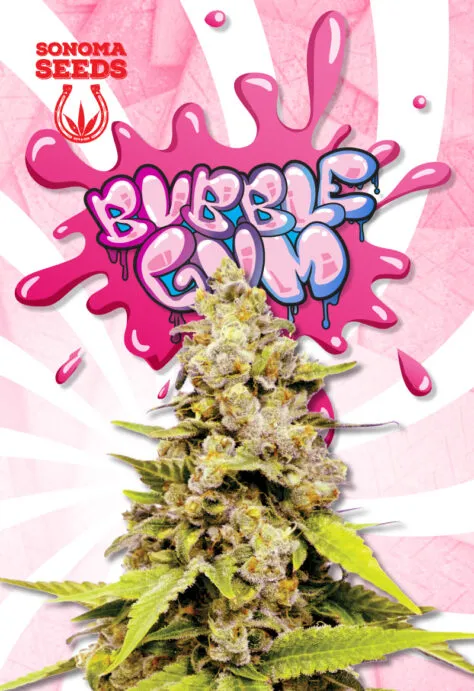 bubblegum-image