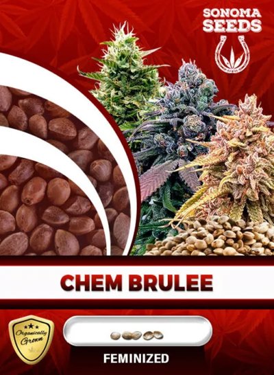 Chem Brulee