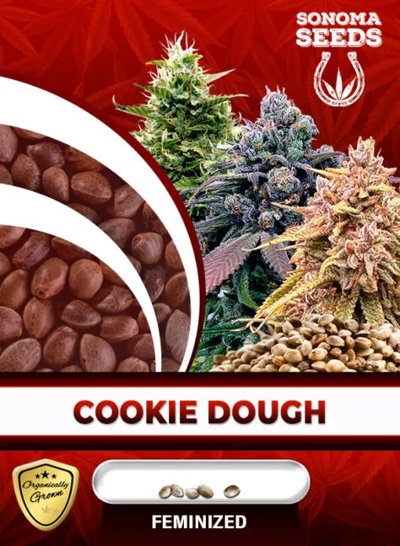 Cookie Dough