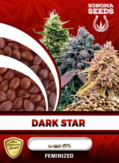 Dark Star