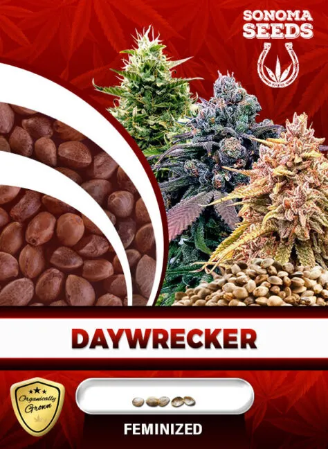 daywrecker-image