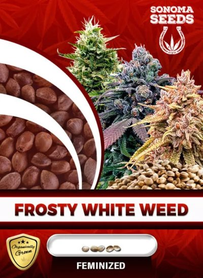 Frosty White Weed