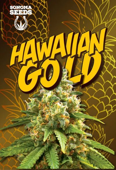 Hawaiian Gold Autoflowering