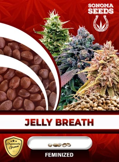 Jelly Breath