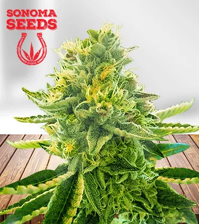la-kush-cake-image
