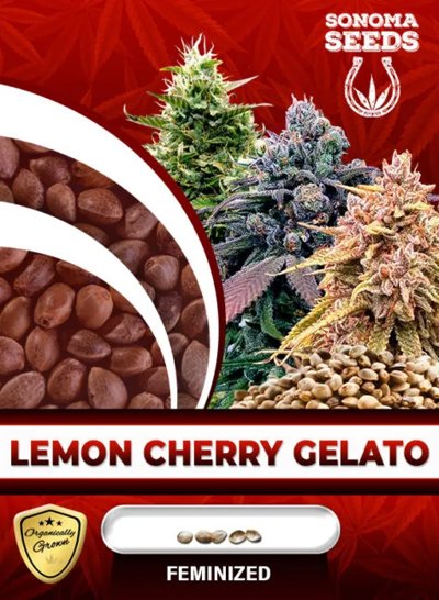 Lemon Cherry Gelato