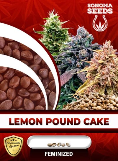 Lemon Pound Cake